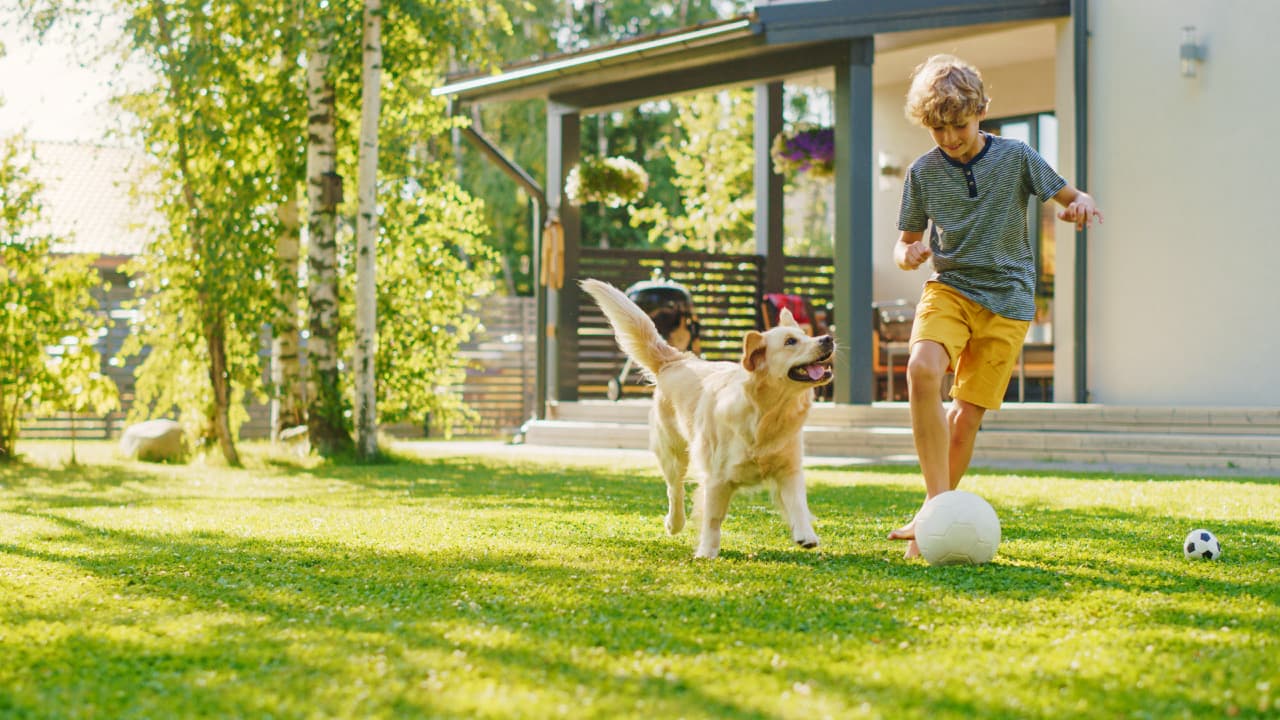 Junge und Hund spielen Fußball im sonnigen Garten vor einem modernen Haus